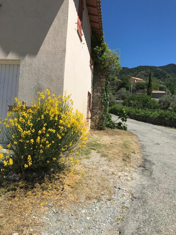 Villa La Ferme Des Cailletiers Chez Marco Lucéram Exterior foto